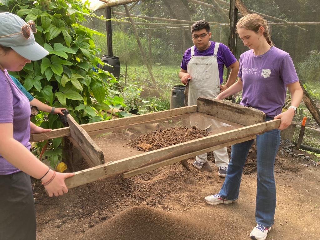 Students sifting soil through a wooden tray in a greenhouse.