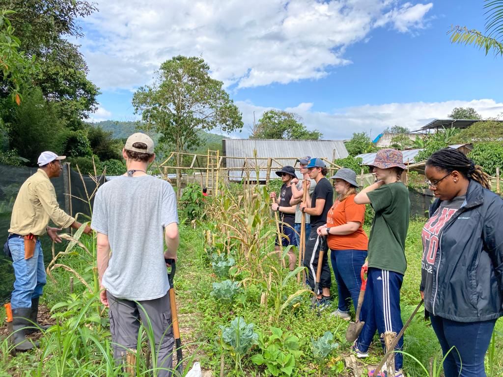 A group of students working together in a garden under a blue sky.