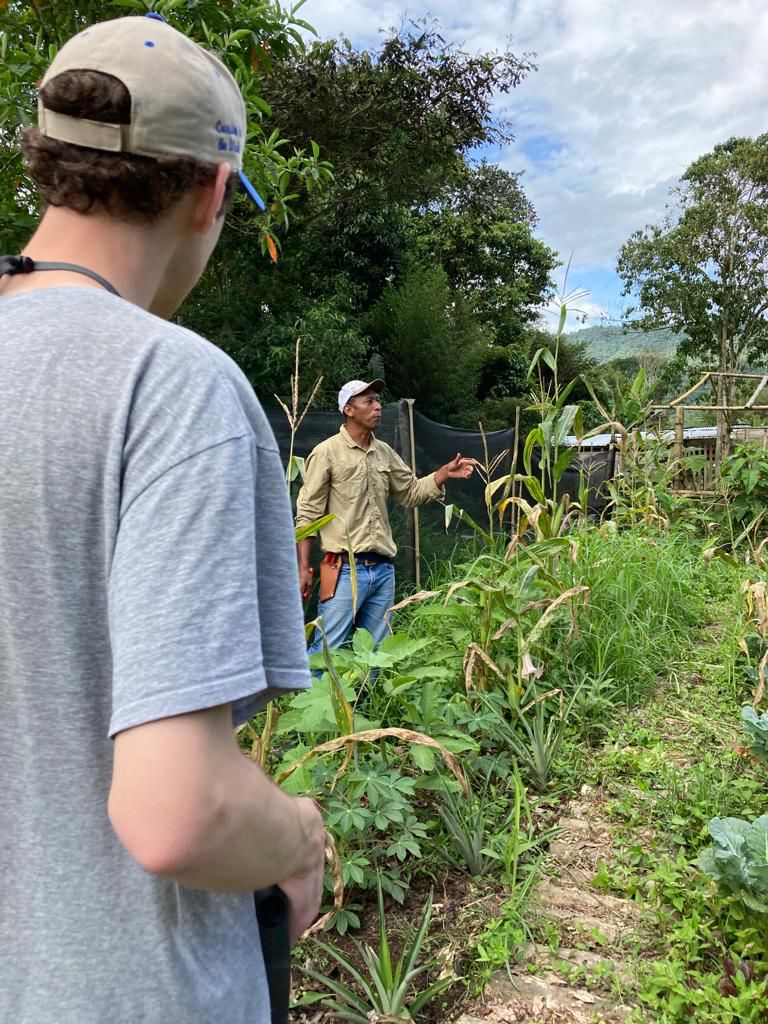 A young man standing in a garden with plants around him.
