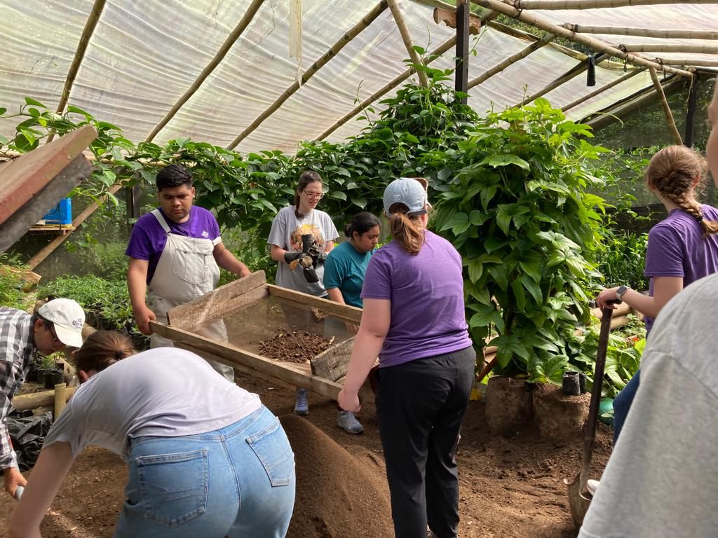 Students potting plants together inside a greenhouse.
