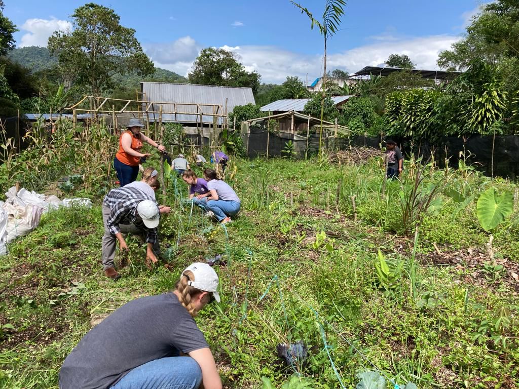 People working in a garden with a building and hills in the background.