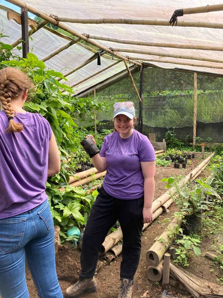 Students working with wooden garden beds inside a greenhouse.