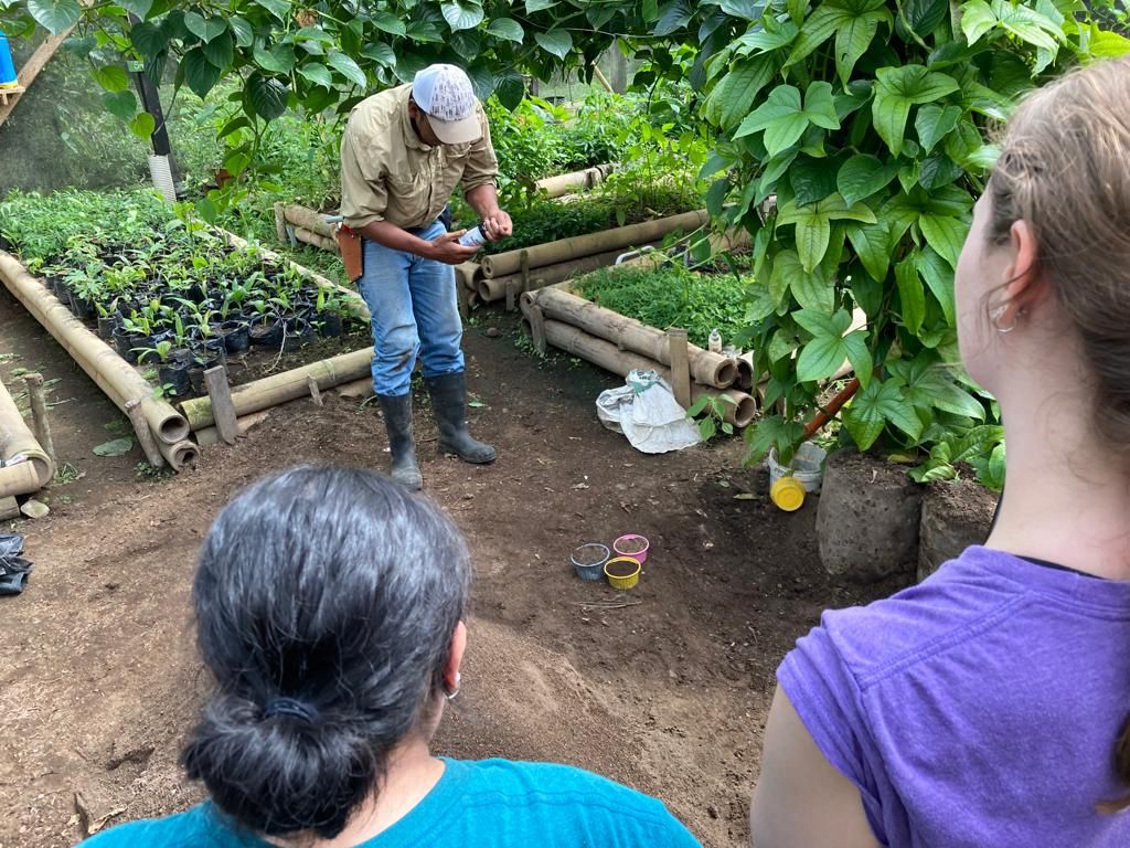 A person planting seedlings in potting bags in a greenhouse.