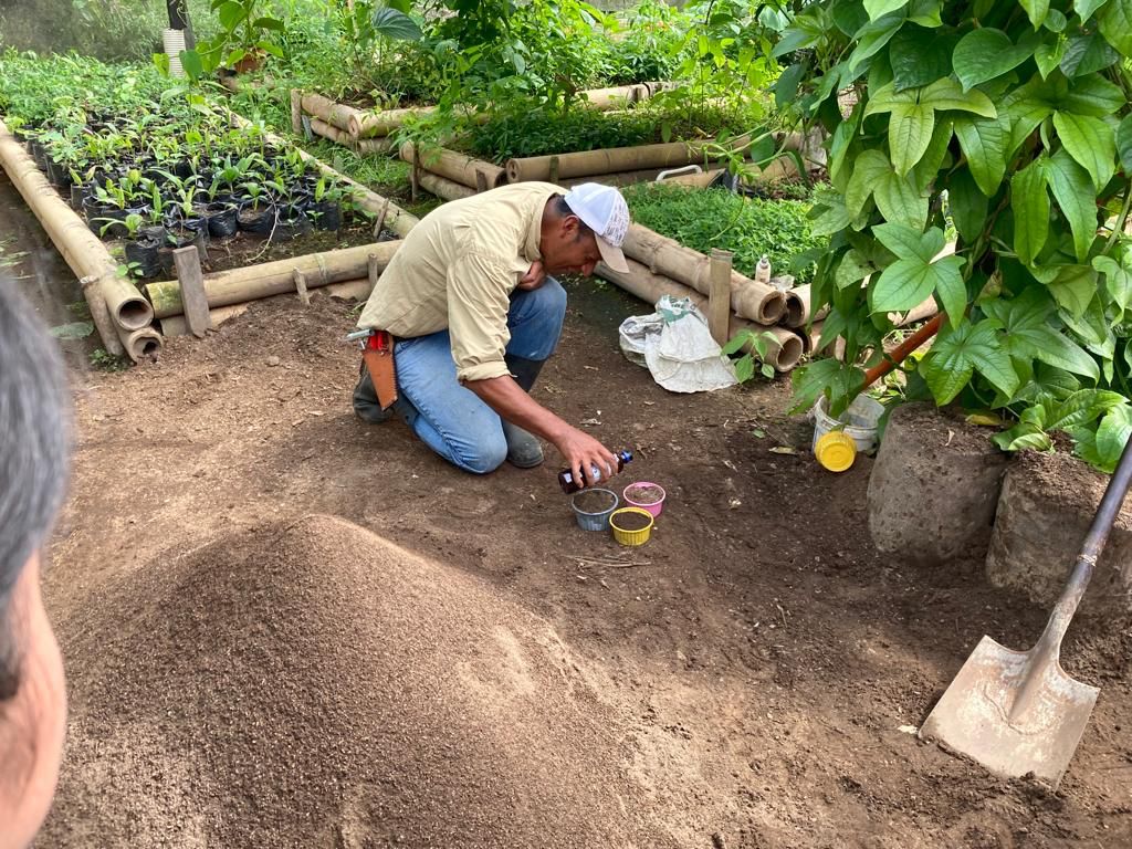A person kneeling to work with soil and potted plants at a farm.
