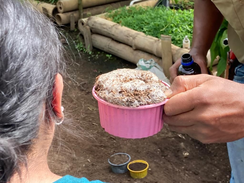 A hand holding a pink bowl filled with seeds or grain.