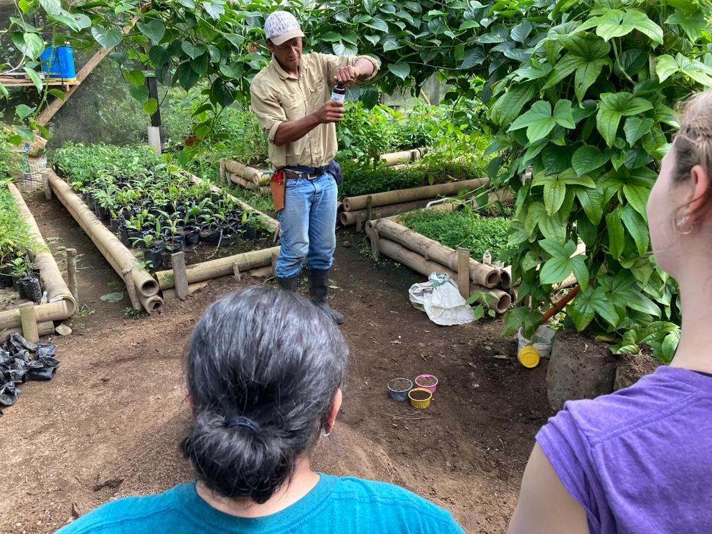 People working with plants and small pots in a garden area.