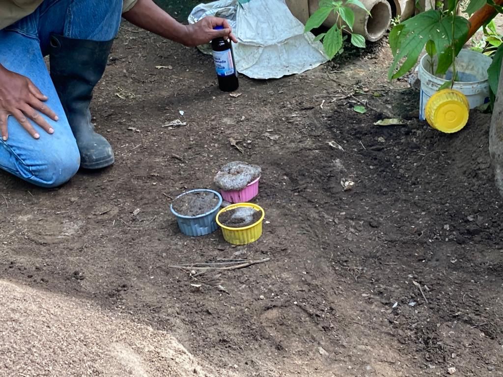 Colored buckets sitting on the ground at a work site.