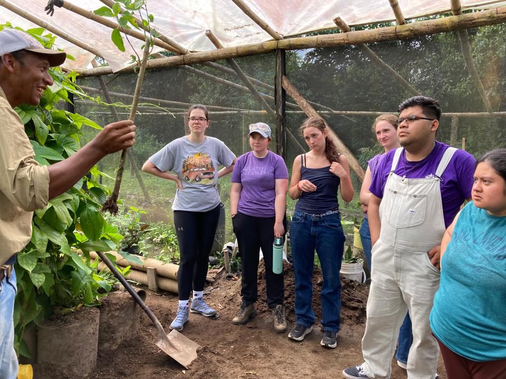 An instructor speaking to a group of students inside a greenhouse.