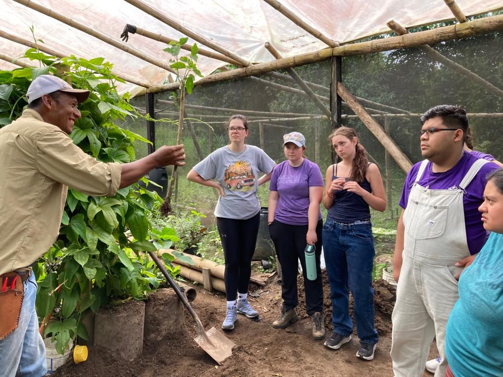An instructor showing plants to a group of students in a greenhouse.