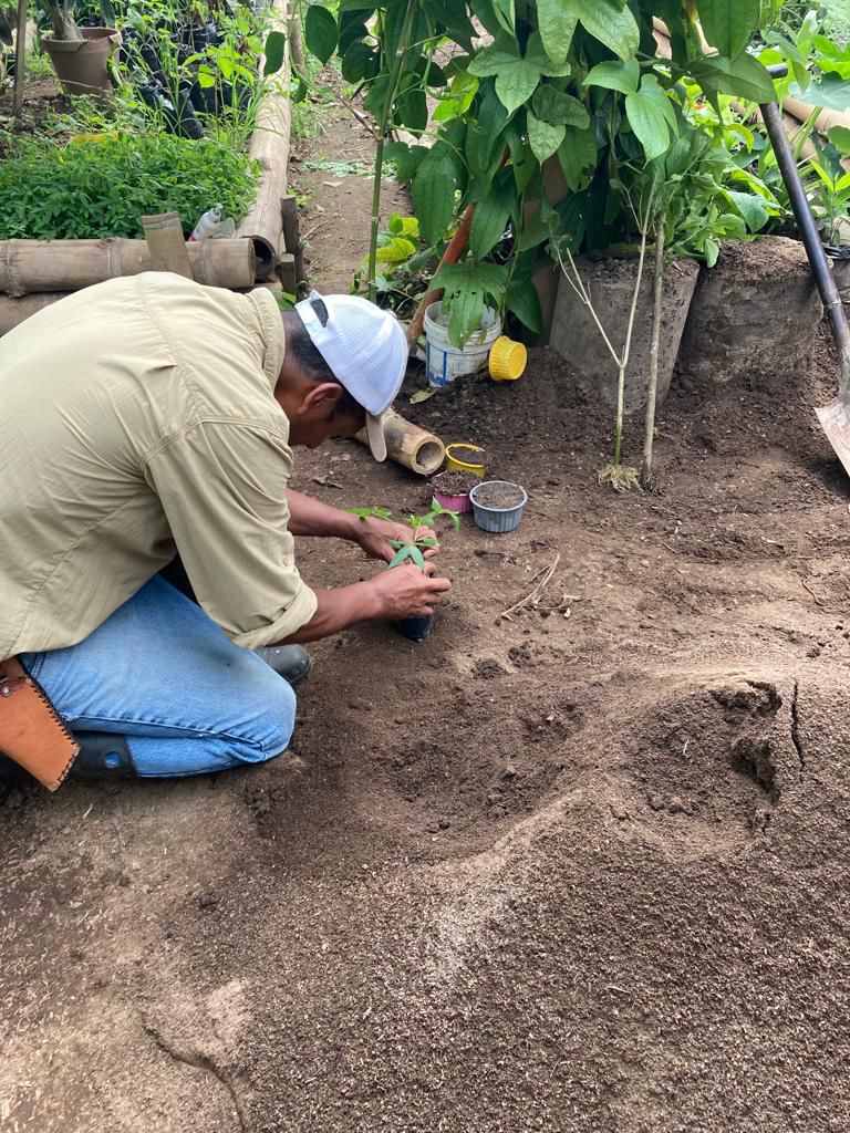 A person kneeling to work with soil on the ground at a farm.