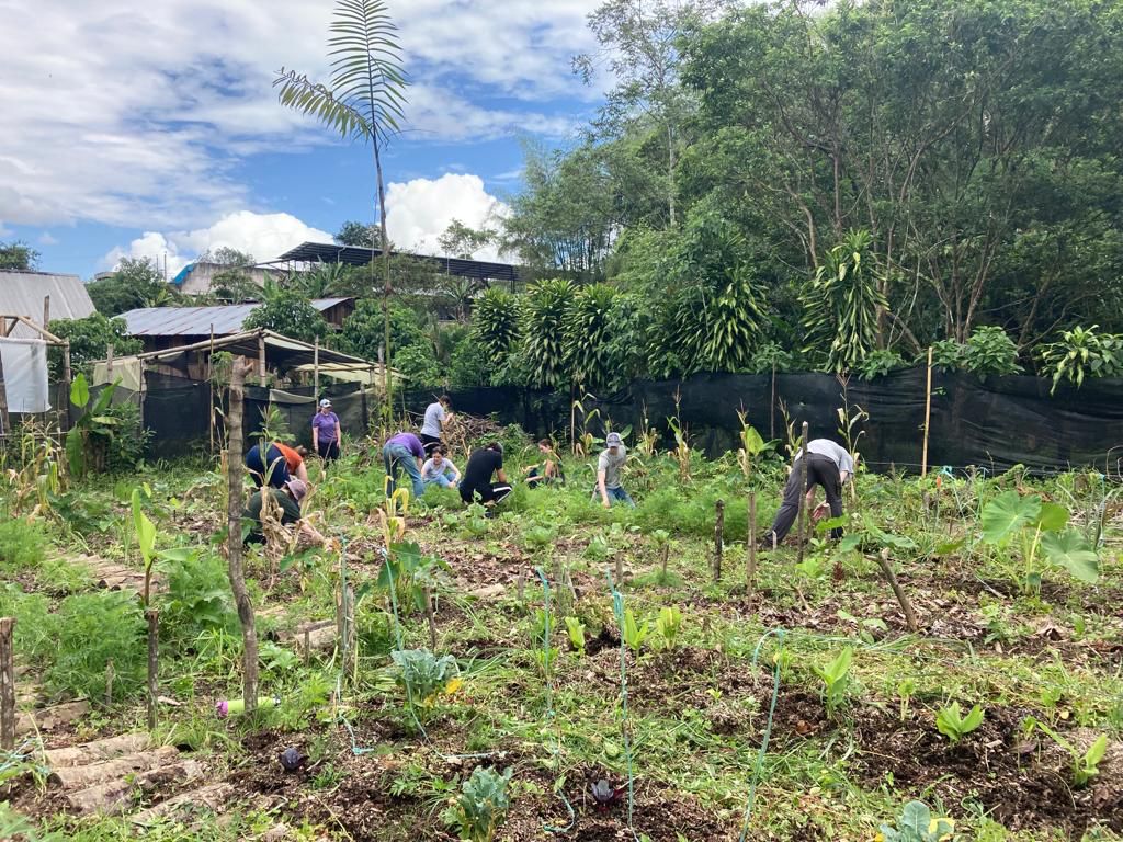 A wide view of students working across a garden field.