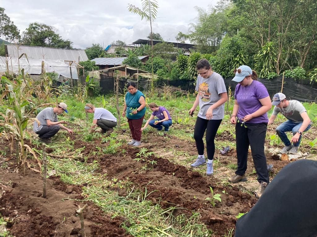 A group of students planting in a freshly tilled garden plot.