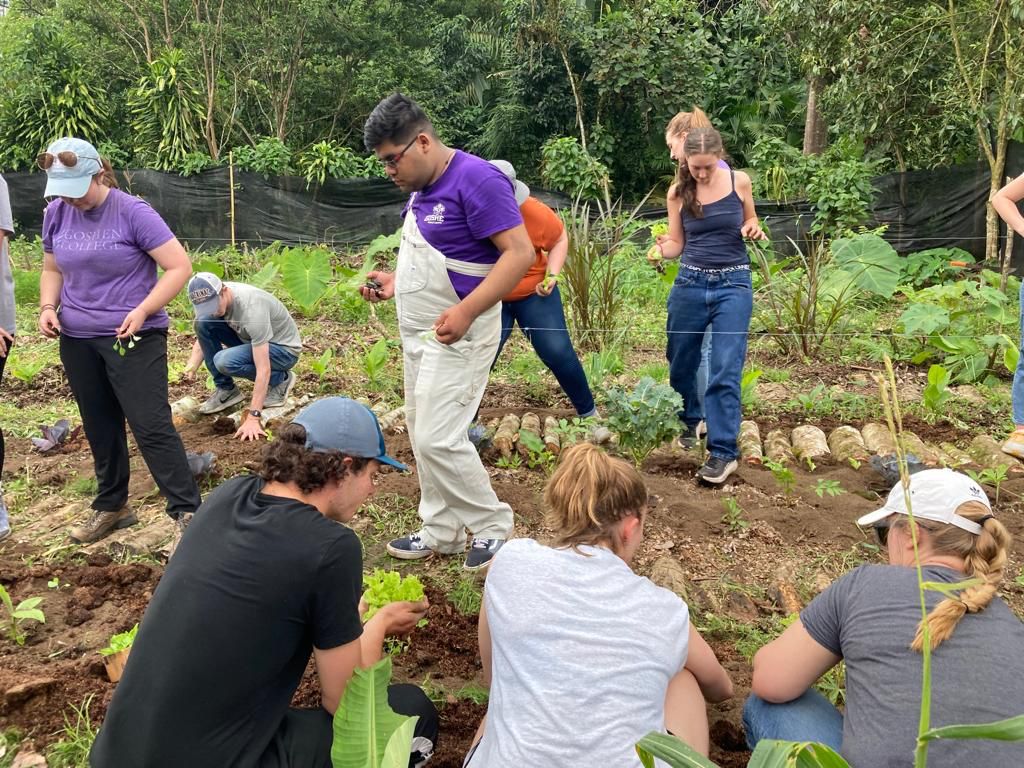 A group of students planting and tending a garden plot.