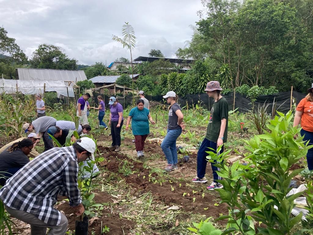 Students spread across a garden field working the soil.