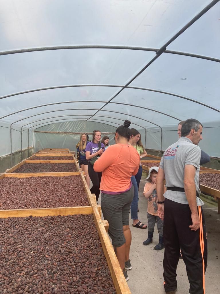 People standing near drying cacao beds under a greenhouse tunnel.