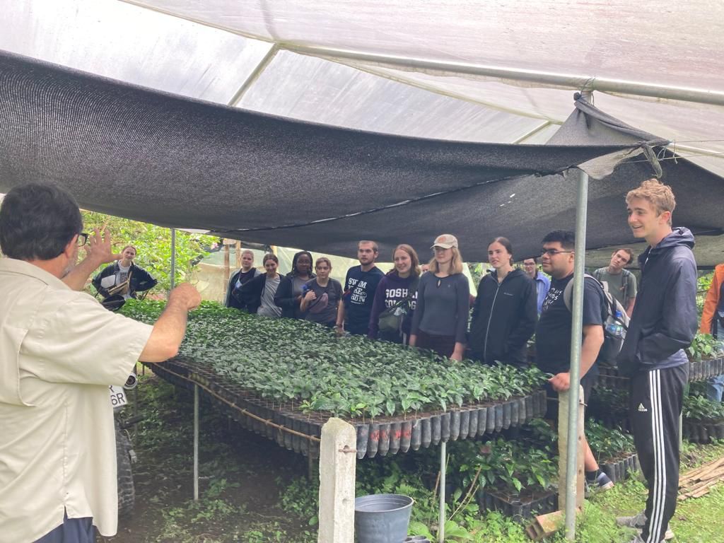 Students listening to a guide among trays of seedlings.