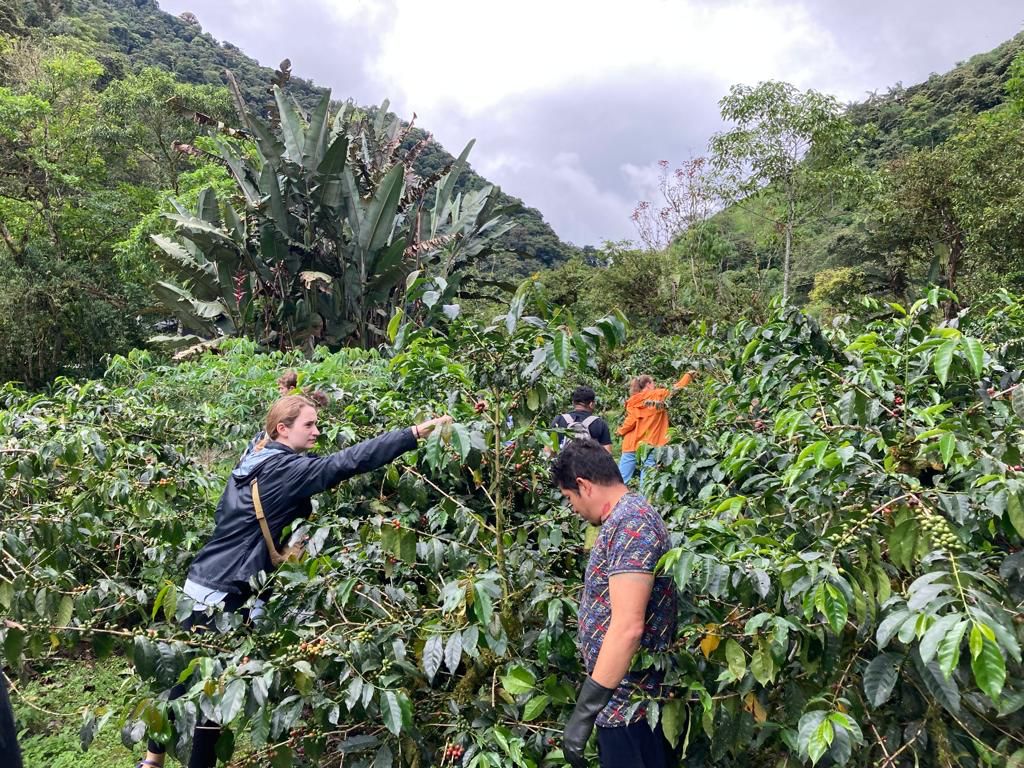 Students gathered around coffee-processing equipment under a shelter.