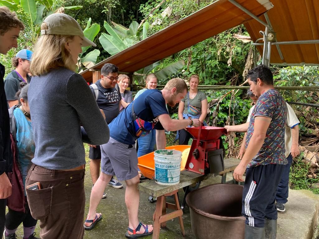 A group working together at a coffee-processing station under a roof.