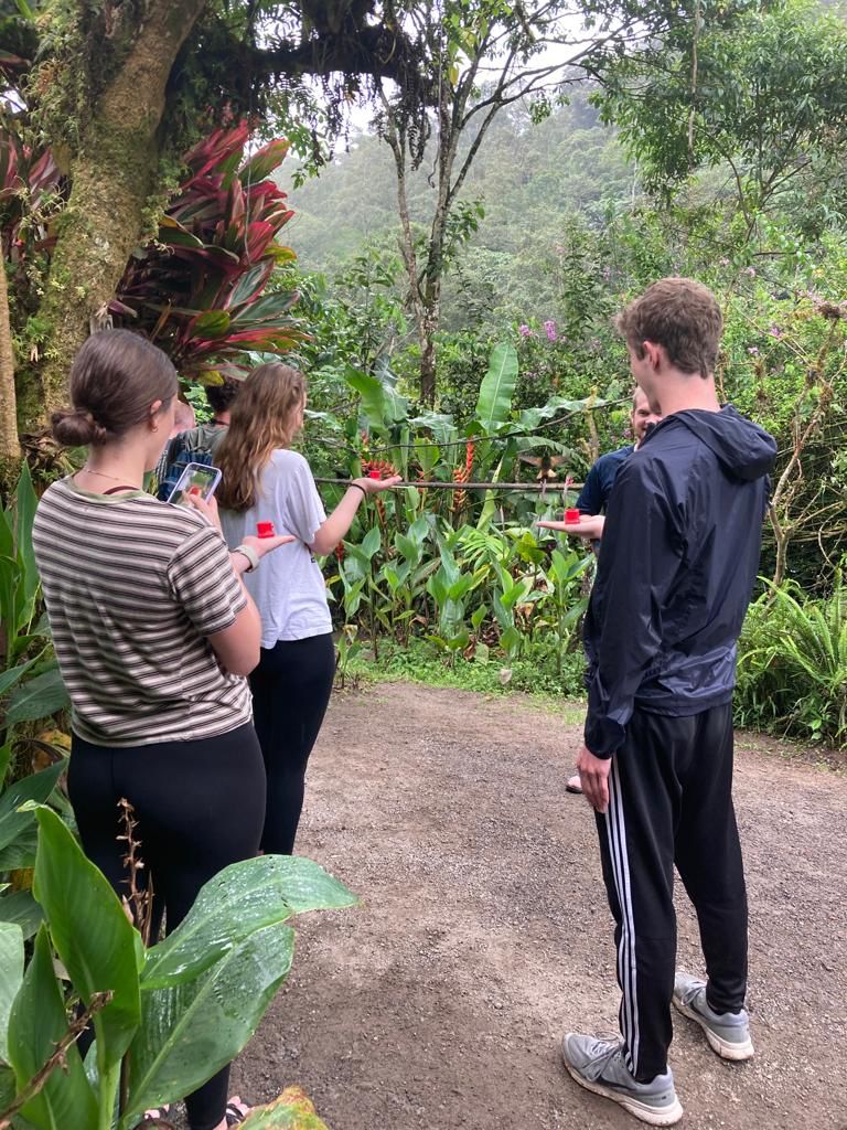 A group of students walking along a jungle garden trail.