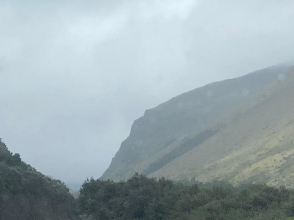 A misty mountain slope with trees in the foreground and a rugged ridge fading into fog.