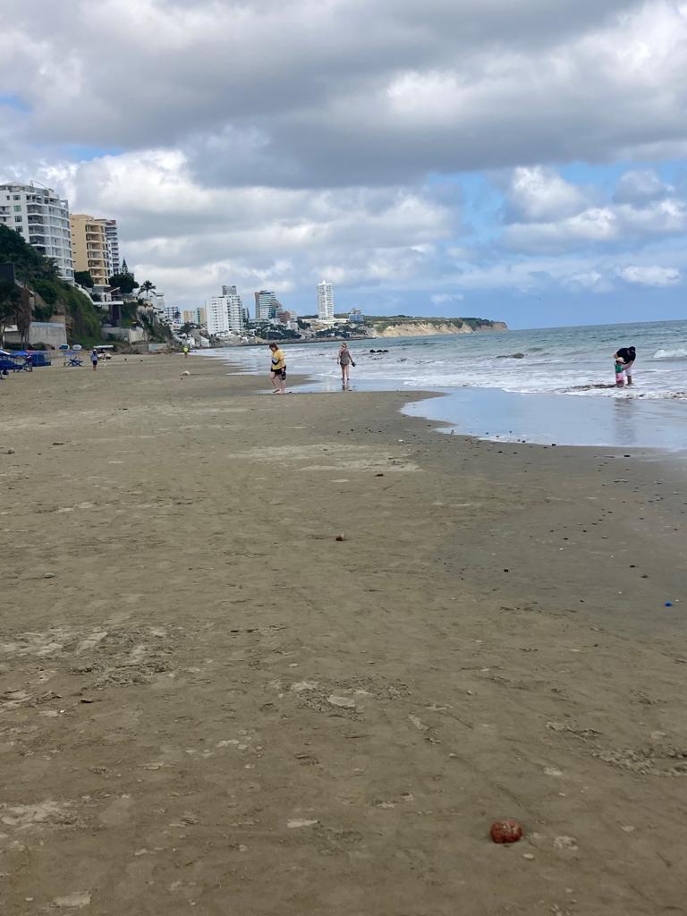 A sandy beach with high-rise buildings in the distance.