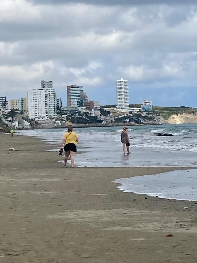 A beach with people wading in the surf and a coastal town skyline behind.