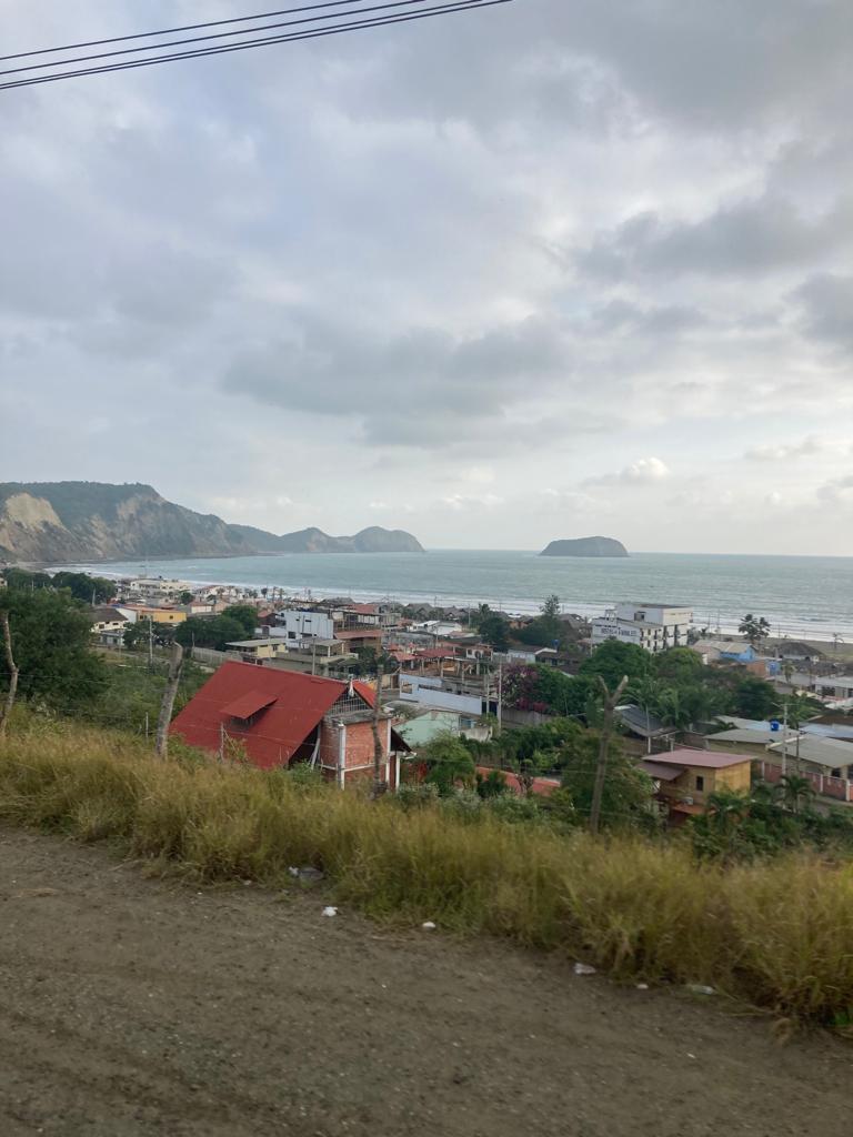 A hillside overlook of a coastal town and bay.