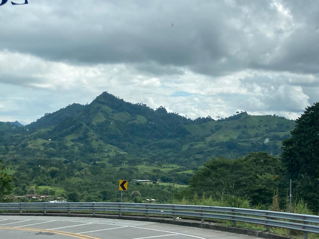 A forested green mountain along a highway guardrail.