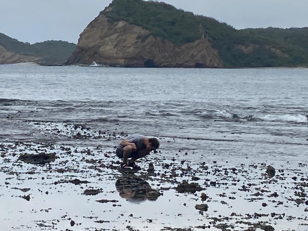 A rocky tide-pool shoreline with a headland in the background.