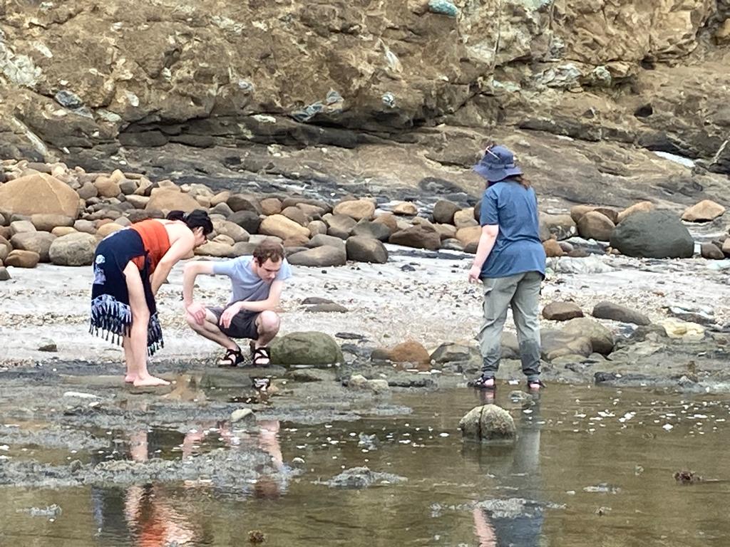 People exploring a rocky tide-pool area at the beach.