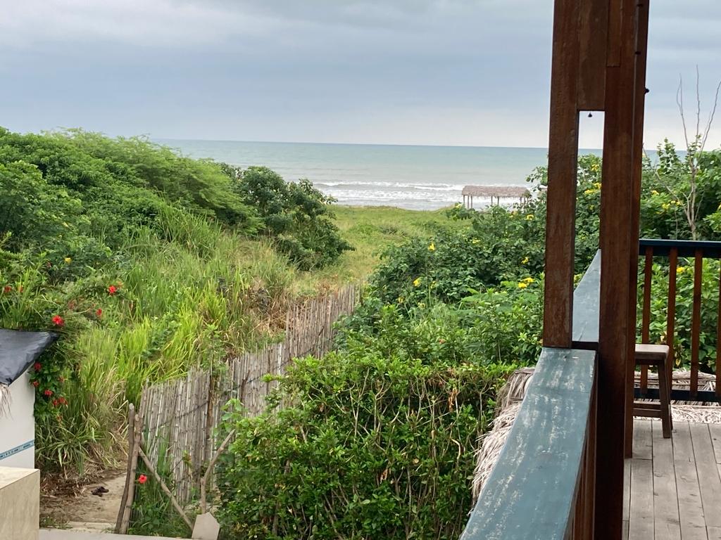 A beachfront view of dunes and ocean from a wooden deck.
