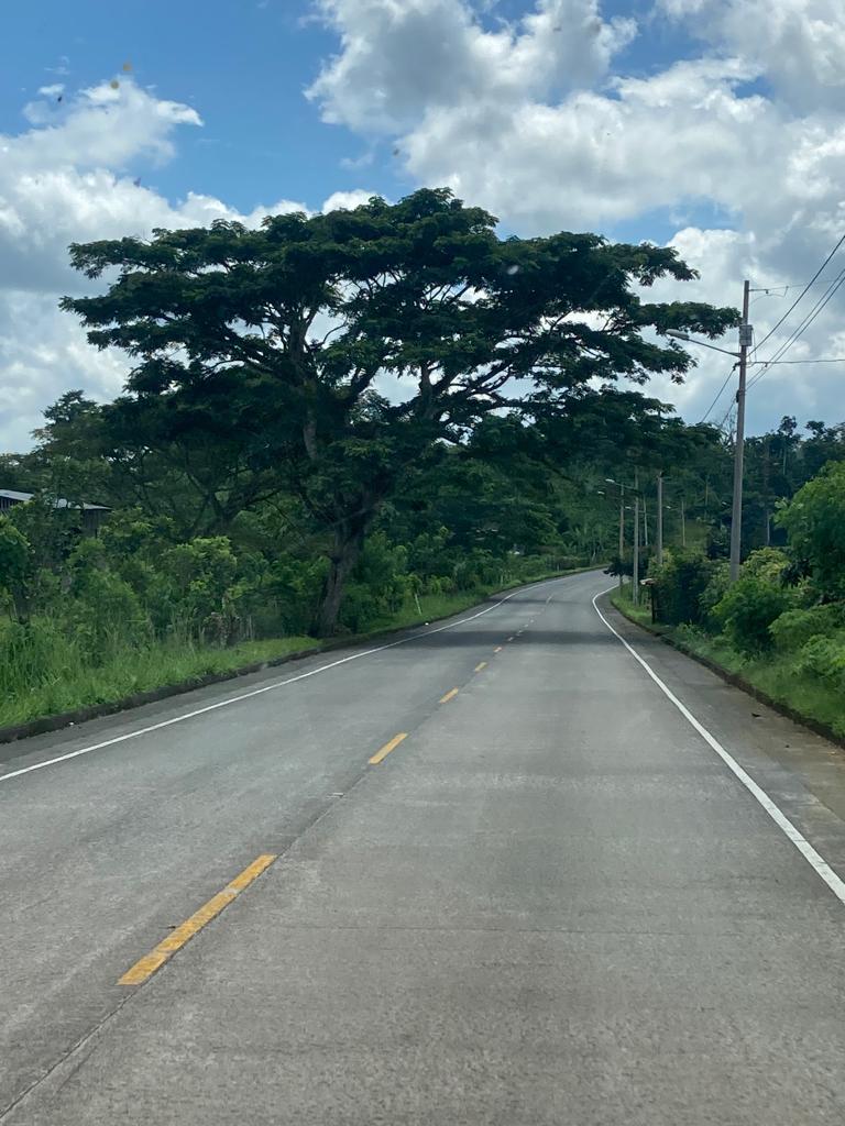 An open rural highway with a large tree beside it.