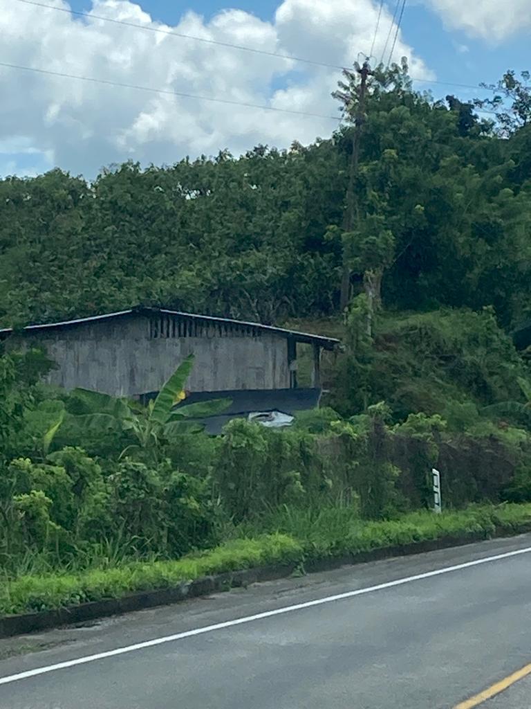 A wooden building beside a rural road surrounded by green vegetation.