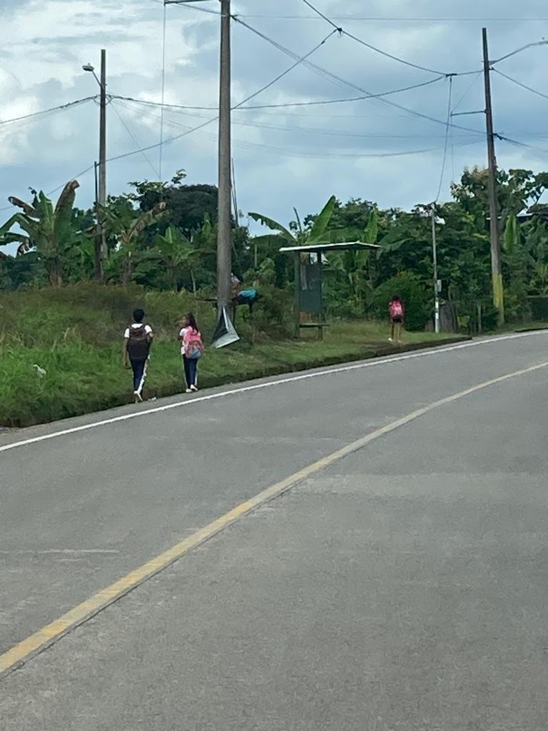 Two people walking along the edge of a rural road.