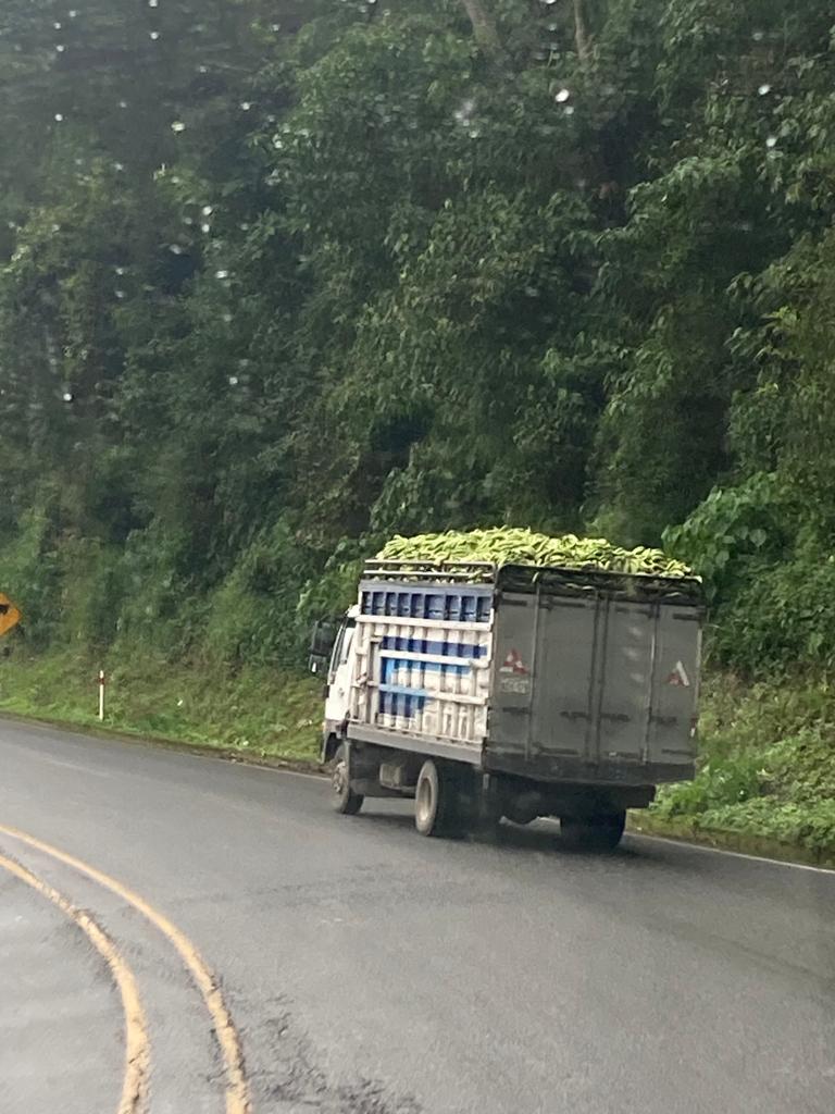 A truck loaded with produce driving on a green mountain highway.
