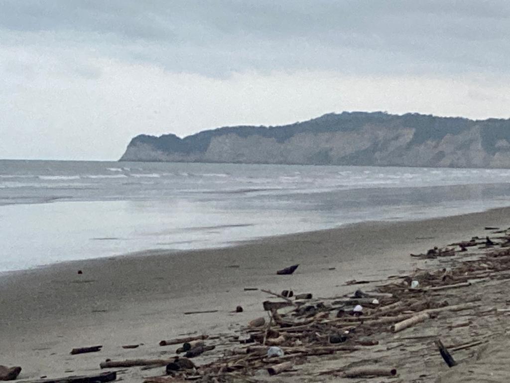 A wide flat beach scattered with driftwood under a grey sky.
