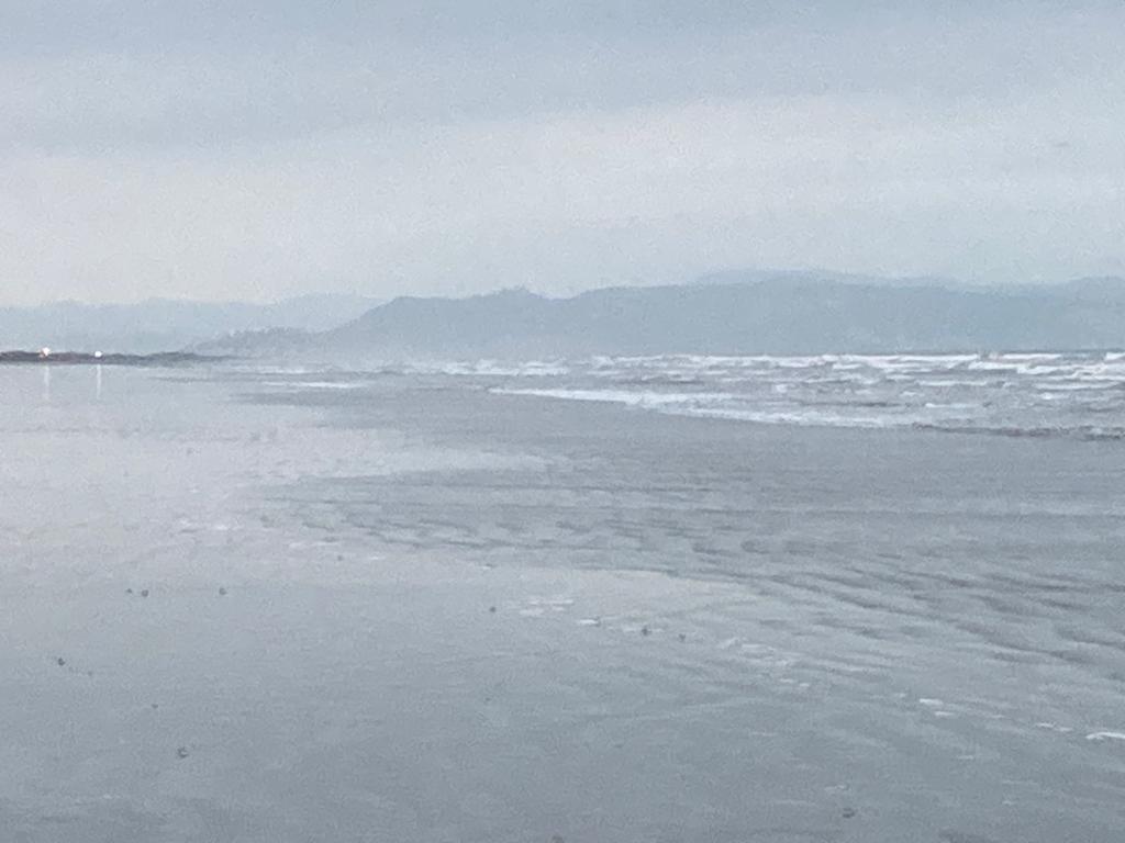 A coastline with distant hills under a cloudy grey sky.
