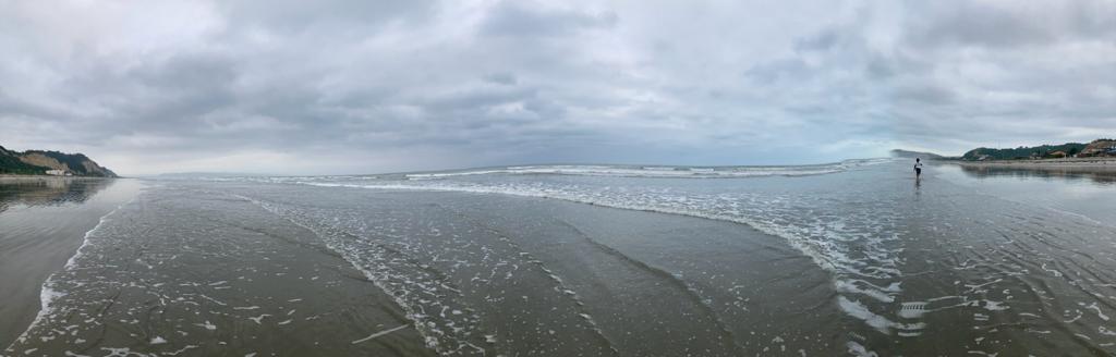 A panoramic view of a wide beach and calm sea under grey clouds.
