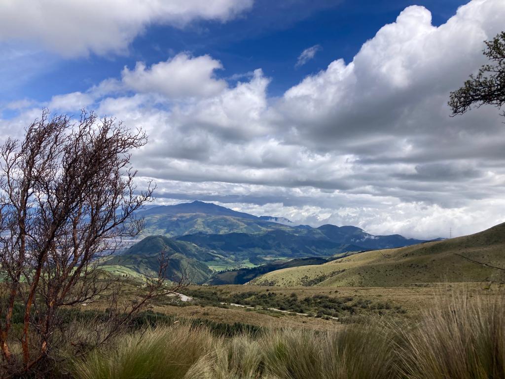 A high grassland ridge with mountains under a cloudy sky.
