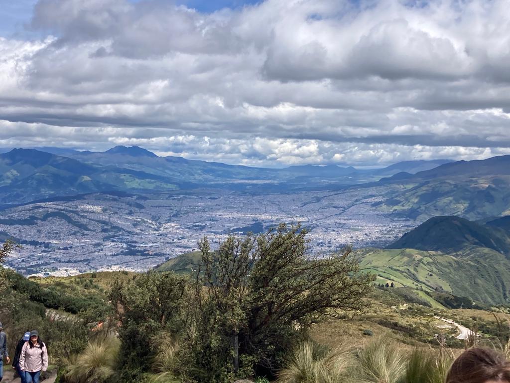 A city stretching below distant mountains, viewed from a hilltop.
