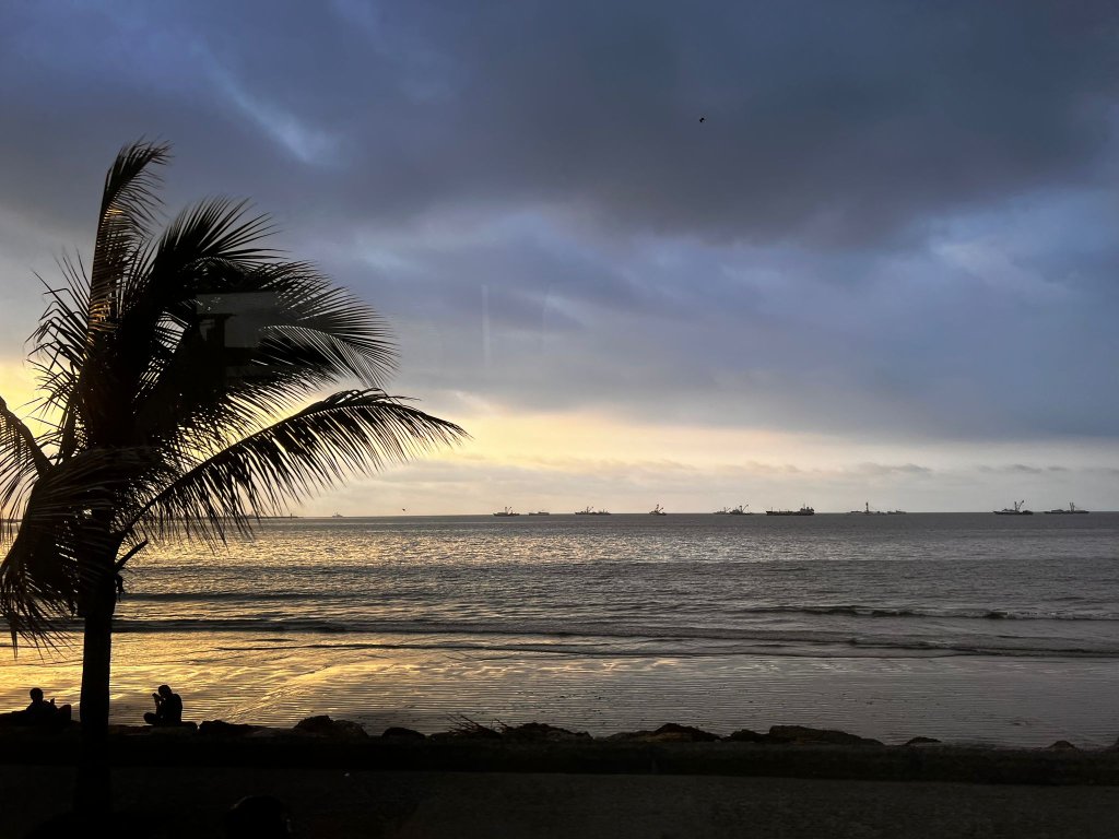 The silhouette of a palm tree against a dusky coastal sky.