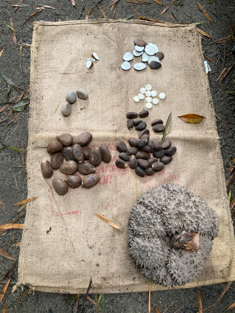 A display of stones and natural materials on a cloth mat.
