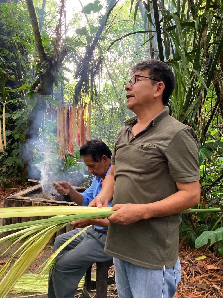 A man demonstrating how to strip toquilla palm fronds.
