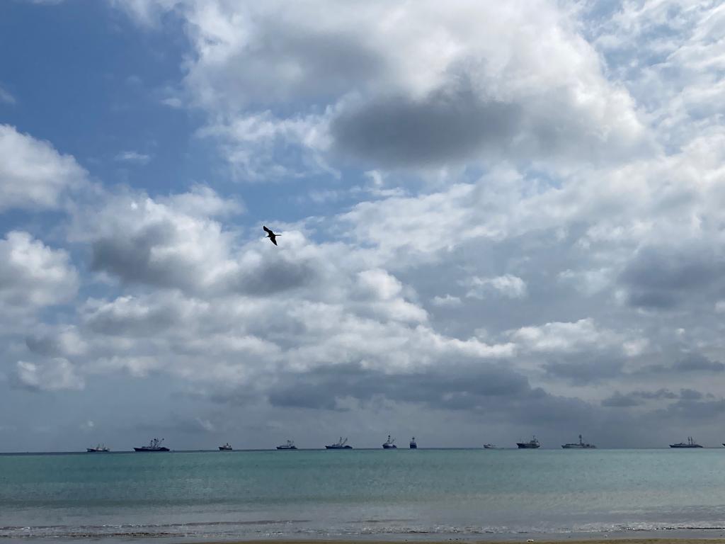 A seascape with a bird in flight and boats on the horizon.
