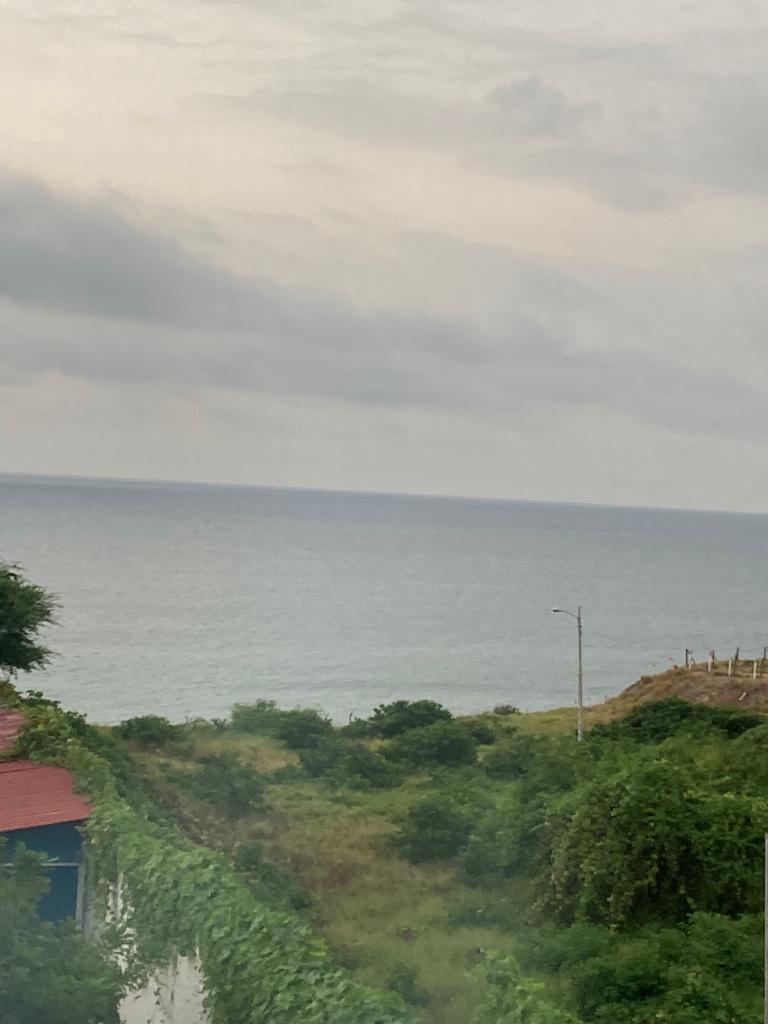 The ocean horizon viewed from a grassy hillside.