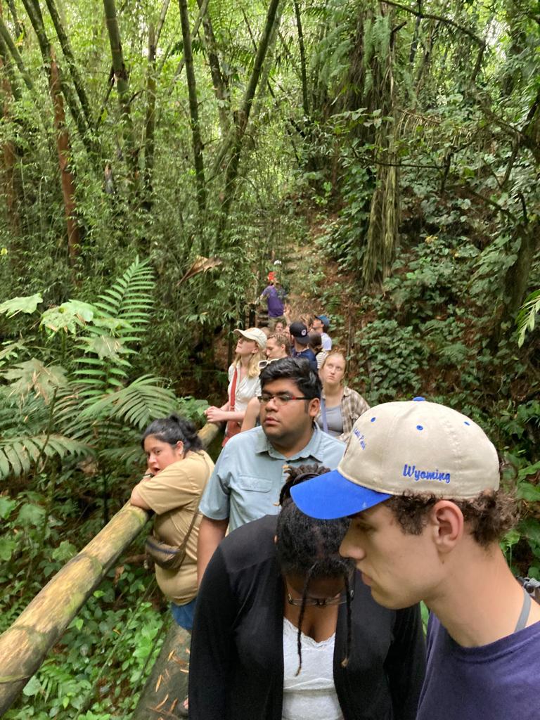 A line of students hiking single file along a forest trail.
