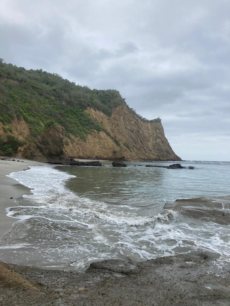 A small cove with waves and a cliff headland under grey skies