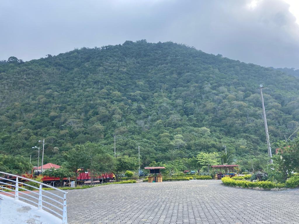 A forested green hillside rising above a paved plaza.